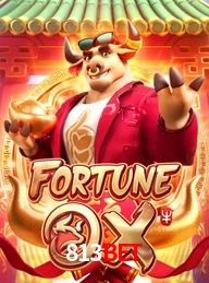813BET.COM